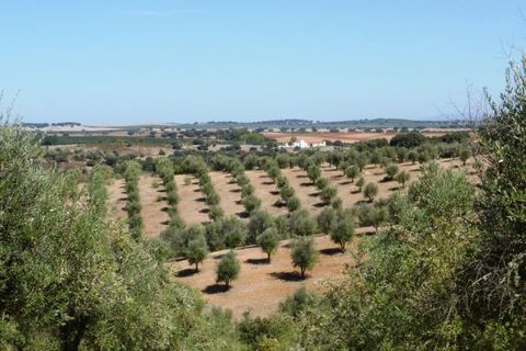 Helårsgrund i Avis, Portalegre, Avis - € 750.000 | Ref: 6891_T - foto 1