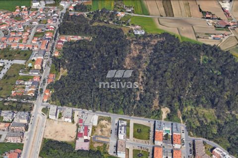 Helårsgrund i Vila do Conde, Porto, Vila do Conde - € 124.000 | Ref: A053-3452 - foto 2