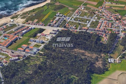 Helårsgrund i Vila do Conde, Porto, Vila do Conde - € 124.000 | Ref: A053-3452 - foto 3