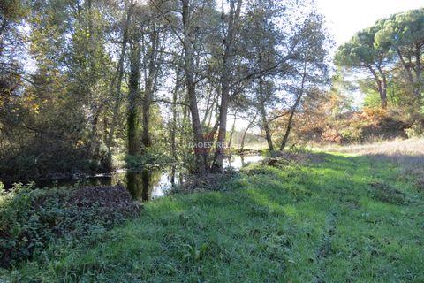 Farm i Seia, Guarda, Seia - € 95.000 | Ref: 18066 - foto 3