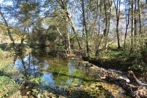 Farm i Seia, Guarda, Seia - € 95.000 | Ref: 18066 - foto 4