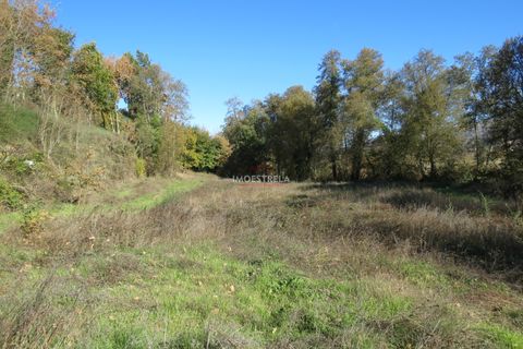 Farm i Seia, Guarda, Seia - € 95.000 | Ref: 18066 - foto 5