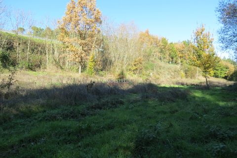 Farm i Seia, Guarda, Seia - € 95.000 | Ref: 18066 - foto 6