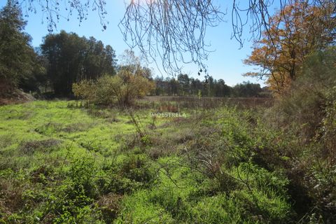 Farm i Seia, Guarda, Seia - € 95.000 | Ref: 18066 - foto 7
