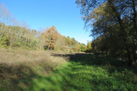 Farm i Seia, Guarda, Seia - € 95.000 | Ref: 18066 - foto 8
