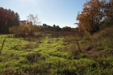 Farm i Seia, Guarda, Seia - € 95.000 | Ref: 18066 - foto 9