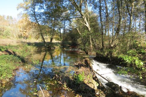 Farm i Seia, Guarda, Seia - € 95.000 | Ref: 18066 - foto 10