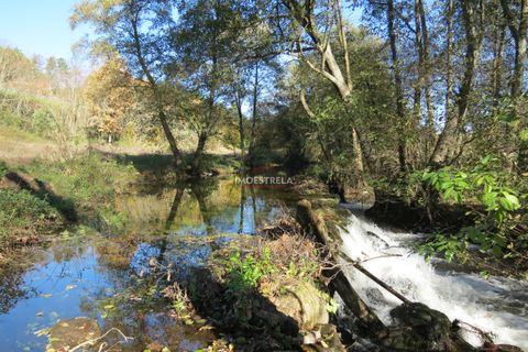 Farm i Seia, Guarda, Seia - € 95.000 | Ref: 18066 - foto 11