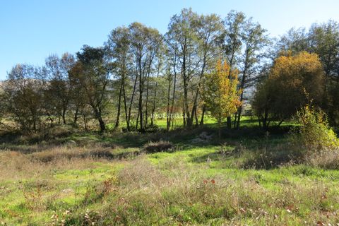 Farm i Seia, Guarda, Seia - € 95.000 | Ref: 18066 - foto 14