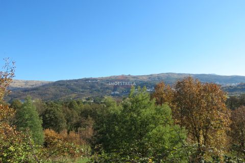 Farm i Seia, Guarda, Seia - € 95.000 | Ref: 18066 - foto 15