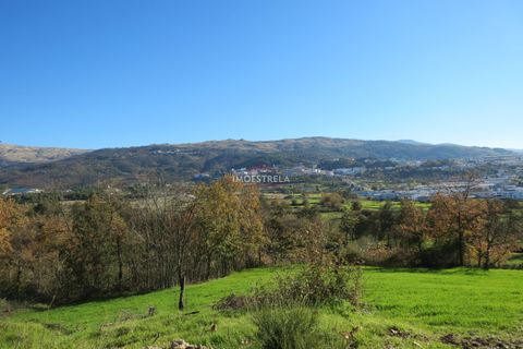 Farm i Seia, Guarda, Seia - € 95.000 | Ref: 18066 - foto 16