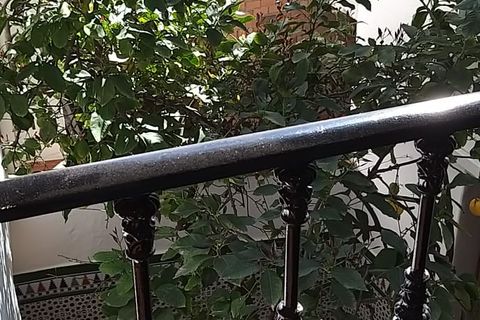 Byhus i Iznajar, Cordoba, Iznajar - € 110.000 | Ref: ID3828 - foto 22
