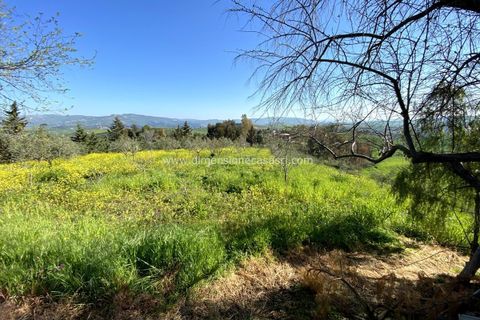 Helårsgrund i Caltanissetta, Caltanissetta, Caltanissetta - € 53.000 | Ref: TA40 - foto 6