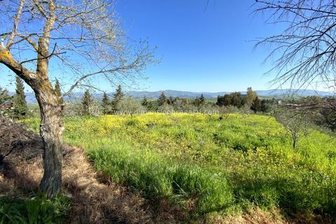 Helårsgrund i Caltanissetta, Caltanissetta, Caltanissetta - € 53.000 | Ref: TA40 - foto 7