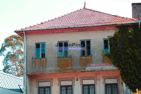 Helårsgrund i Porto, Porto, Porto - € 1.400.000 | Ref: 8657_T - foto 8