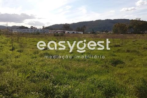 Helårsgrund i Miranda do Corvo, Coimbra, Miranda do Corvo - € 59.000 | Ref: RR81464 - foto 1