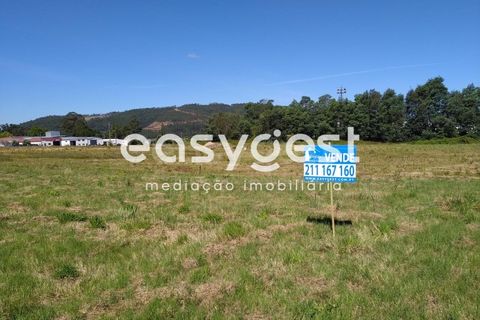 Helårsgrund i Miranda do Corvo, Coimbra, Miranda do Corvo - € 59.000 | Ref: RR81464 - foto 6