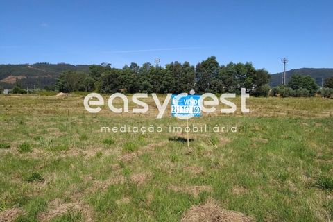 Helårsgrund i Miranda do Corvo, Coimbra, Miranda do Corvo - € 59.000 | Ref: RR81464 - foto 7