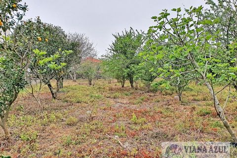 Terra a Areosa, Viana do Castelo, Areosa - € 280.000 | Ref: 1771 - foto 2