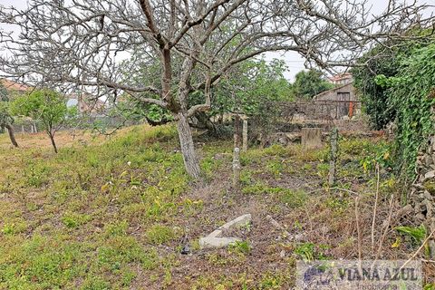Terra a Areosa, Viana do Castelo, Areosa - € 280.000 | Ref: 1771 - foto 3