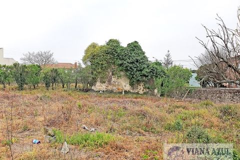 Terra a Areosa, Viana do Castelo, Areosa - € 280.000 | Ref: 1771 - foto 8