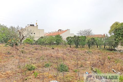 Terra a Areosa, Viana do Castelo, Areosa - € 280.000 | Ref: 1771 - foto 9