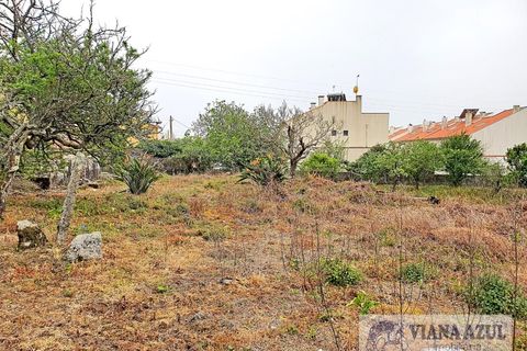 Terra a Areosa, Viana do Castelo, Areosa - € 280.000 | Ref: 1771 - foto 10