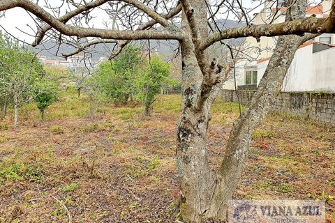 Terra a Areosa, Viana do Castelo, Areosa - € 280.000 | Ref: 1771 - foto 11
