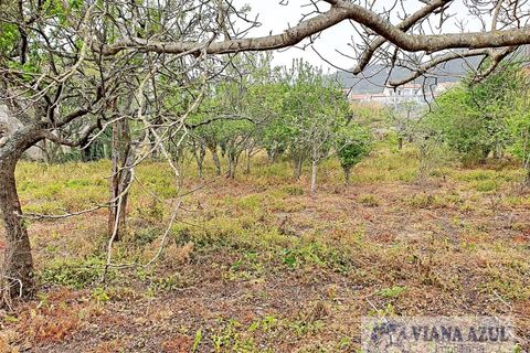 Terra a Areosa, Viana do Castelo, Areosa - € 280.000 | Ref: 1771 - foto 12