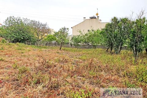 Terra a Areosa, Viana do Castelo, Areosa - € 280.000 | Ref: 1771 - foto 17