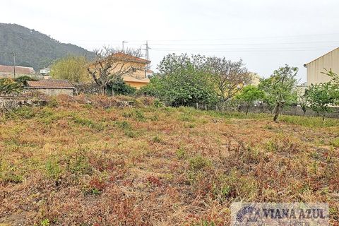 Terra a Areosa, Viana do Castelo, Areosa - € 280.000 | Ref: 1771 - foto 18