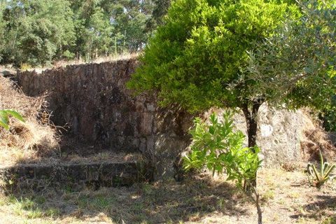 Ruinere i Vila Verde, Braga, Vila Verde - € 48.000 | Ref: 00195/08 - foto 3