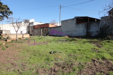 Terra a Riachos, Santarem, Riachos - € 47.500 | Ref: 1951 - foto 2