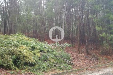 Helårsgrund i Vila do Conde, Porto, Vila do Conde - € 160.000 | Ref: 240-T-18336 - foto 2
