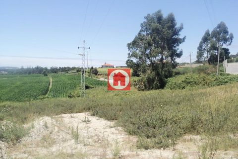 Tomt i Vila do Conde, Porto, Vila do Conde - € 371 900 | Ref: 240-T-03381 - foto 4
