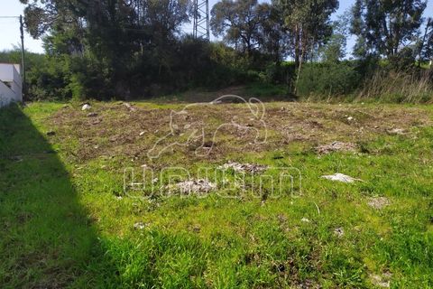 Helårsgrund i Darque, Viana do Castelo, Darque - € 107.000 | Ref: R3381 - foto 19