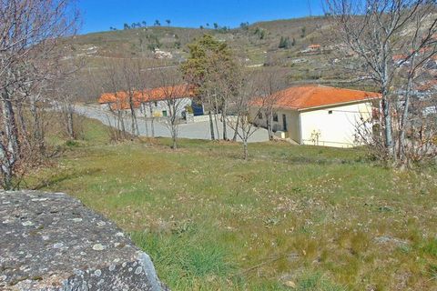 Terra a Cepoes, Viseu, Cepoes - € 65.000 | Ref: LMG_3592 - N - foto 2