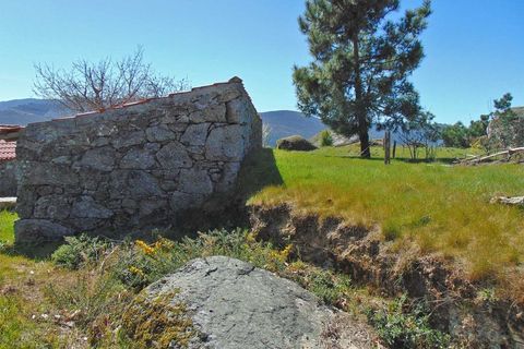 Terra a Cepoes, Viseu, Cepoes - € 65.000 | Ref: LMG_3592 - N - foto 3