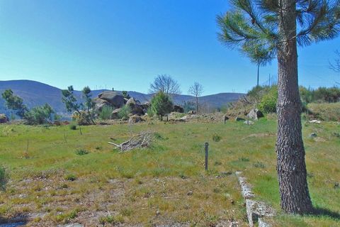 Terra a Cepoes, Viseu, Cepoes - € 65.000 | Ref: LMG_3592 - N - foto 4