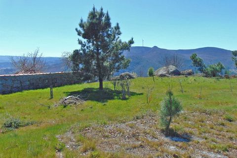 Terra a Cepoes, Viseu, Cepoes - € 65.000 | Ref: LMG_3592 - N - foto 5
