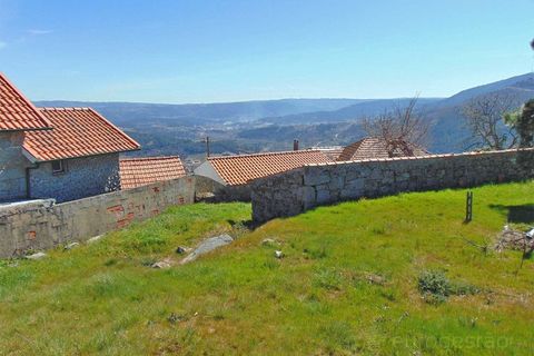 Terra a Cepoes, Viseu, Cepoes - € 65.000 | Ref: LMG_3592 - N - foto 6