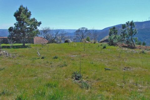 Terra a Cepoes, Viseu, Cepoes - € 65.000 | Ref: LMG_3592 - N - foto 7
