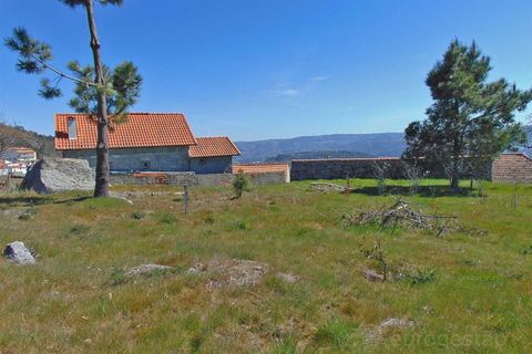 Terra a Cepoes, Viseu, Cepoes - € 65.000 | Ref: LMG_3592 - N - foto 8