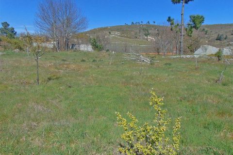 Terra a Cepoes, Viseu, Cepoes - € 65.000 | Ref: LMG_3592 - N - foto 9