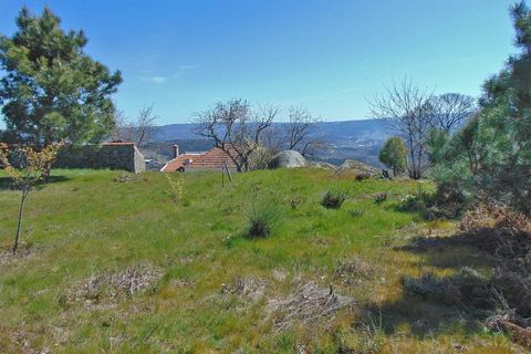 Terra a Cepoes, Viseu, Cepoes - € 65.000 | Ref: LMG_3592 - N - foto 10