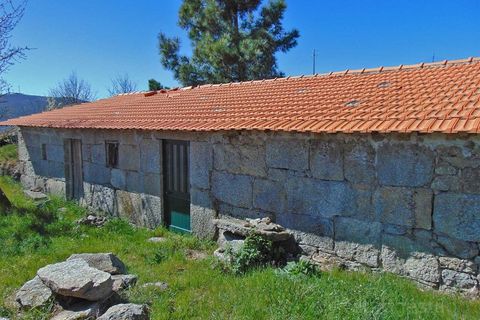 Terra a Cepoes, Viseu, Cepoes - € 65.000 | Ref: LMG_3592 - N - foto 12