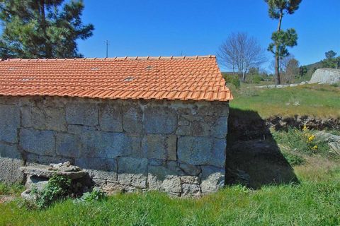 Terra a Cepoes, Viseu, Cepoes - € 65.000 | Ref: LMG_3592 - N - foto 13