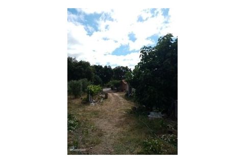 Erhvervsejendom i Macao, Santarem, Macao - € 160.000 | Ref: 7537 - foto 11