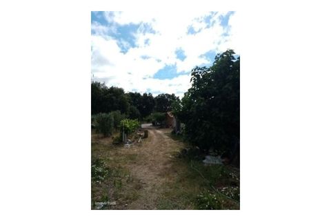 Erhvervsejendom i Macao, Santarem, Macao - € 160.000 | Ref: 7537 - foto 12