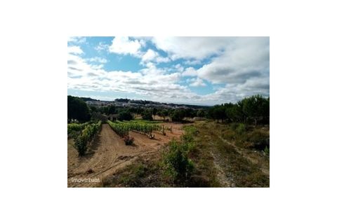 Erhvervsejendom i Macao, Santarem, Macao - € 160.000 | Ref: 7537 - foto 19